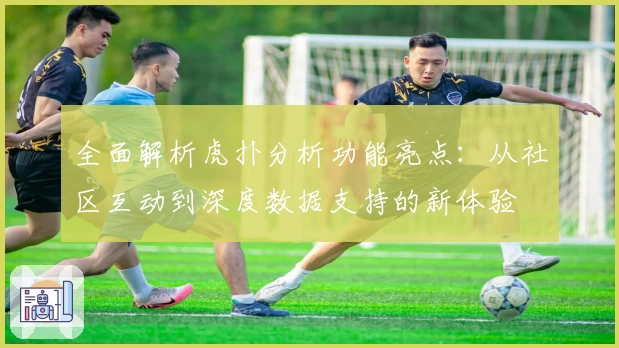 全面解析虎扑分析功能亮点：从社区互动到深度数据支持的新体验