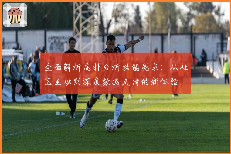 全面解析虎扑分析功能亮点：从社区互动到深度数据支持的新体验